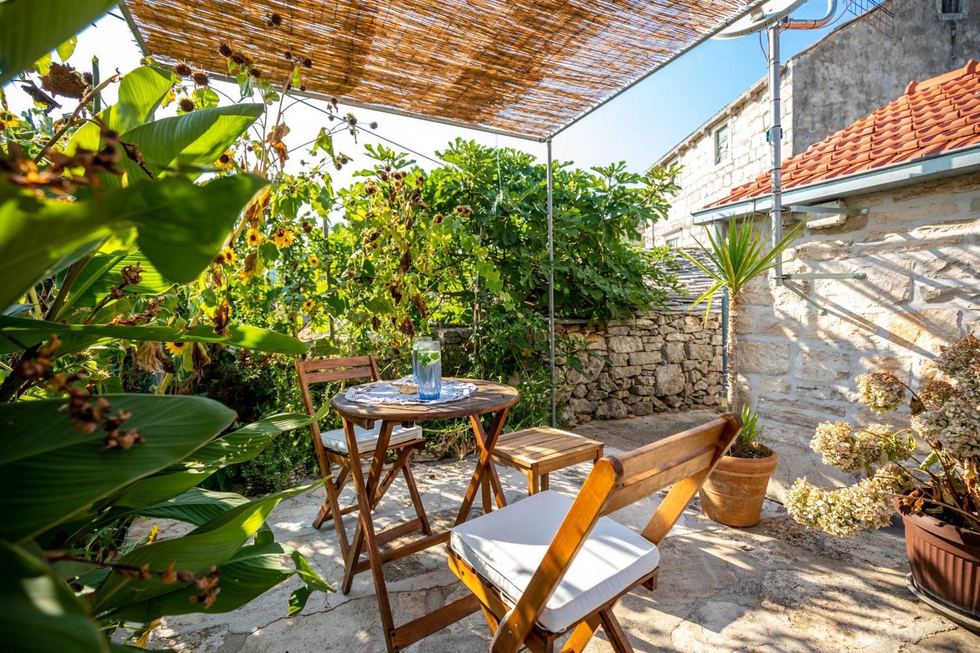 Stone House Harmony Apartment Zrnovo Exterior photo
